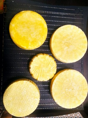 WhatsApp Image 2018-09-07 at 20.18.06.jpeg