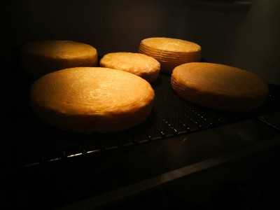 WhatsApp Image 2018-09-07 at 21.08.48.jpeg