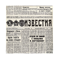 Бумага упаковочная "Известия" (10 листов 30,5х30,5 см)