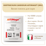 Белая плесень Geotrichum Candidum AFFIMAGE® (50U)