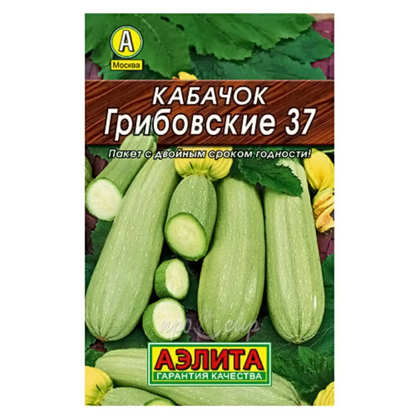 Семена Кабачок белоплодный Грибовские 37 Семена Кабачок белоплодный Грибовские 37