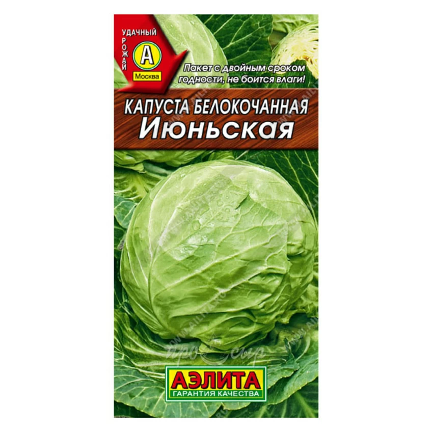 Семена Капуста б/к Июньская Семена Капуста б/к Июньская