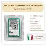Дрожжи для горгонзолы ALCE Saccharomyces powder (20 гр)
