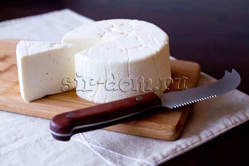 Как приготовить сыр из козьего молока в домашних условиях: пошаговый рецепт