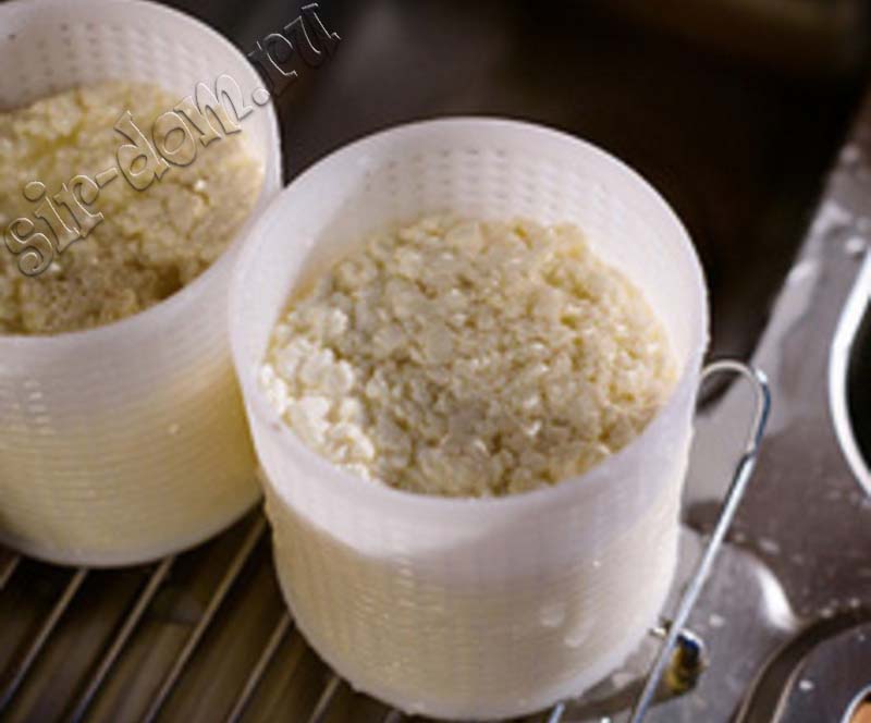 сырное зерно при приготовлении камамбера в домашних условиях