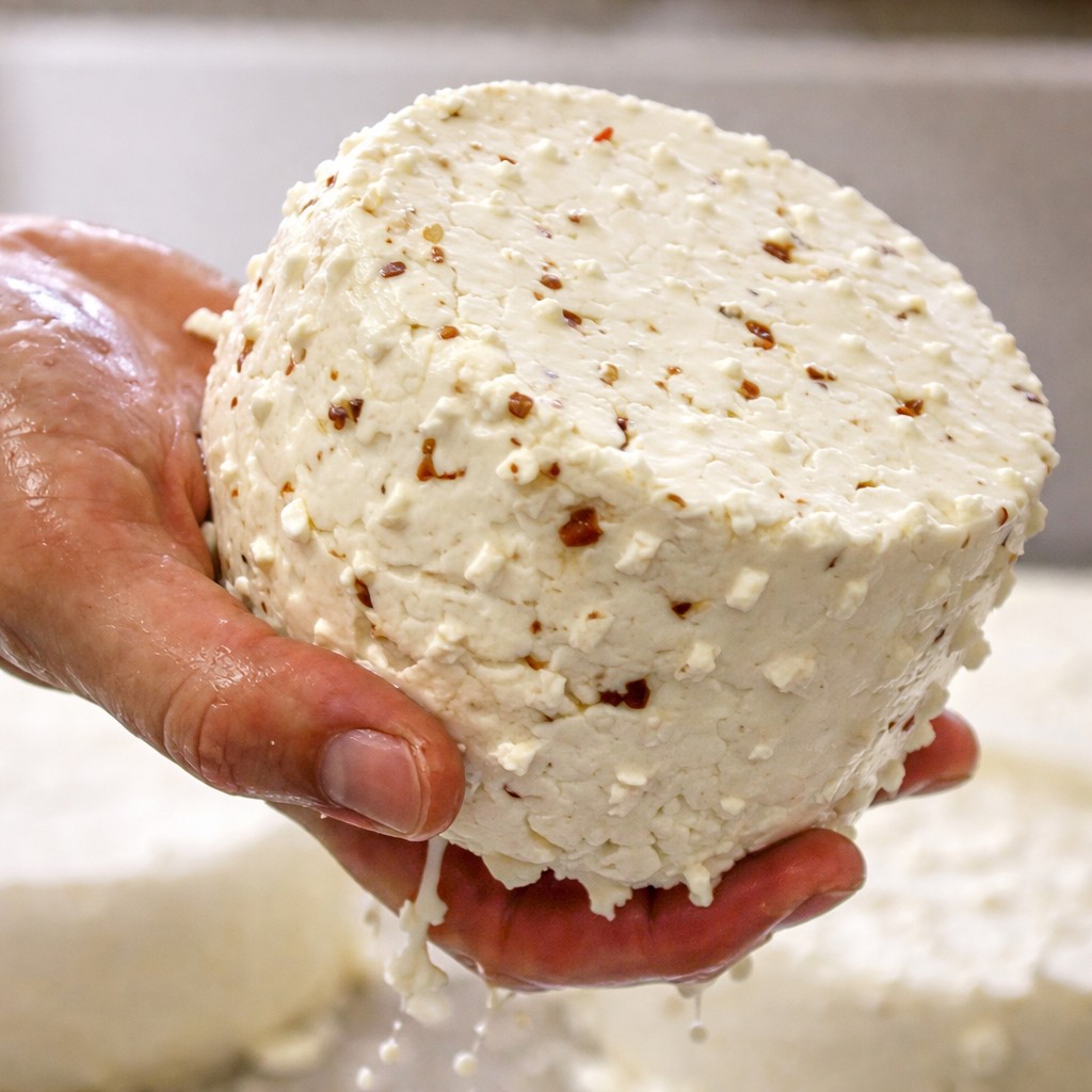 сыр качотта рецепт в домашних условиях