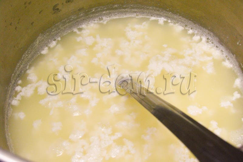 рецепт пивного сыра - вымешиваем сырное зерно