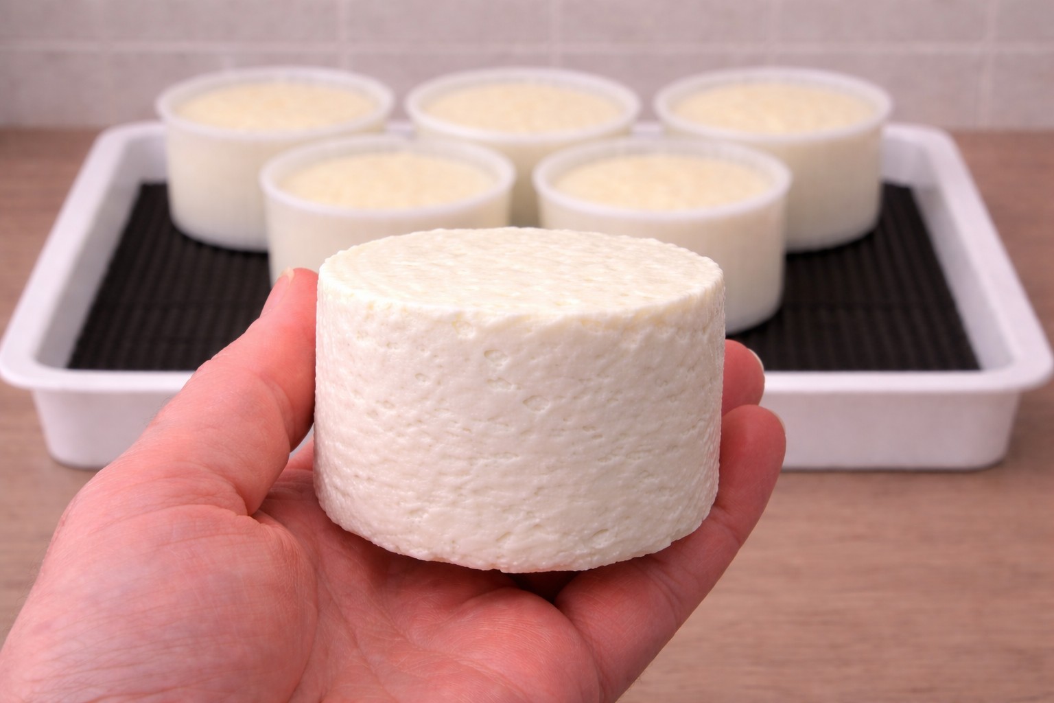 Кроттен-де-Шавиньоль в домашних условиях с фото